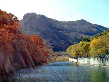 天天彩好彩天天免费，超级系统纵横都市